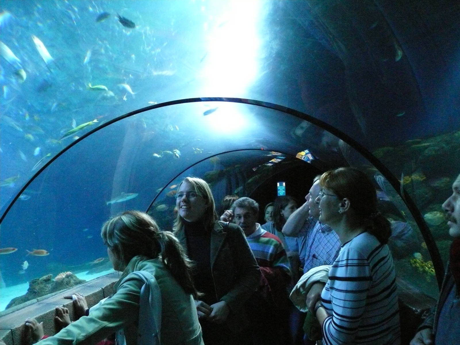 Sea Life Hannover. September 2007