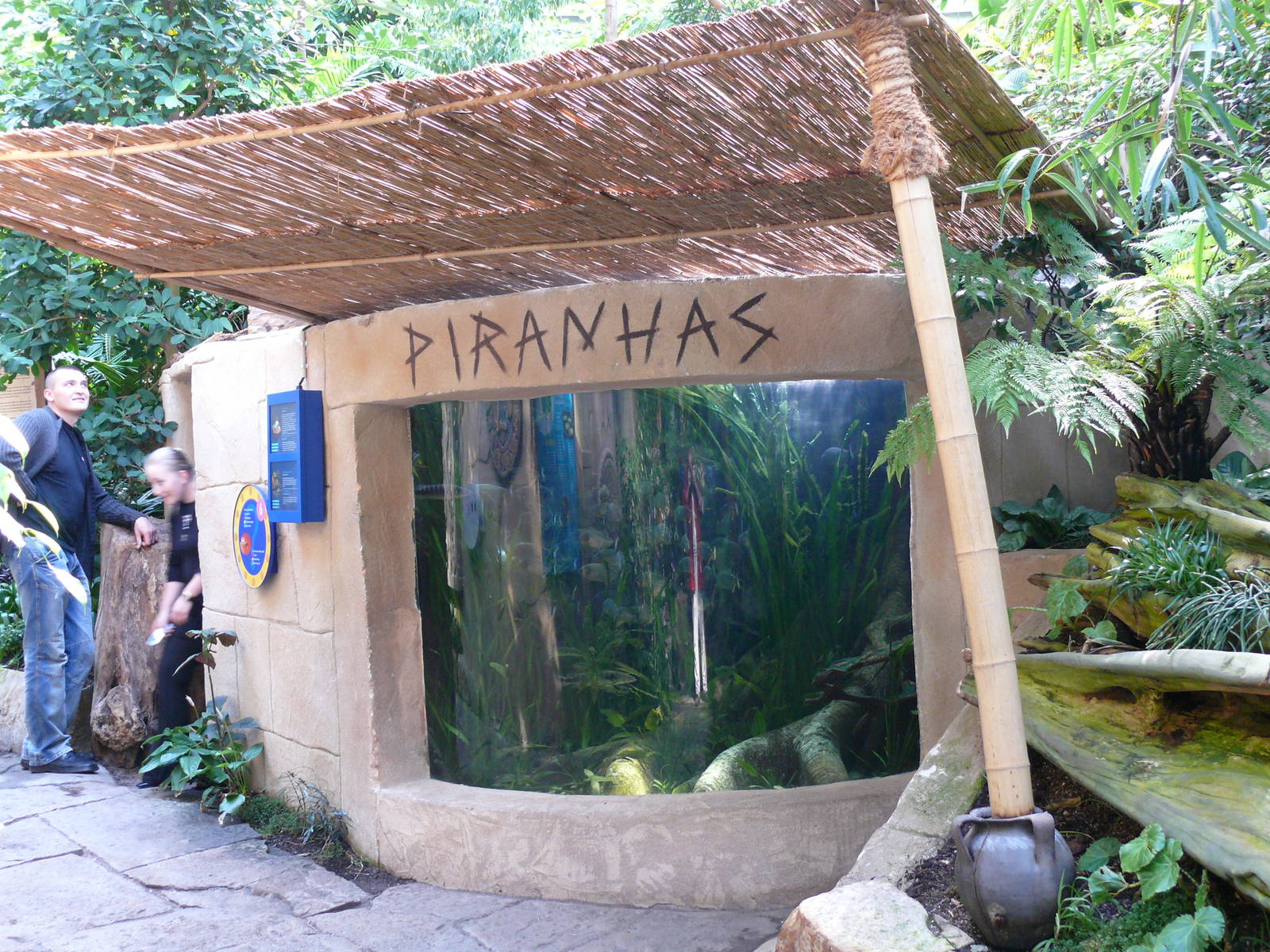 Sea Life Hannover. September 2007