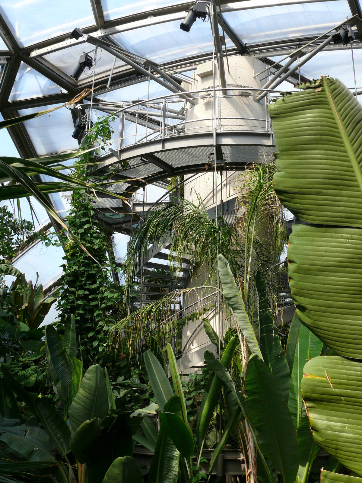 Sea Life Hannover. September 2007