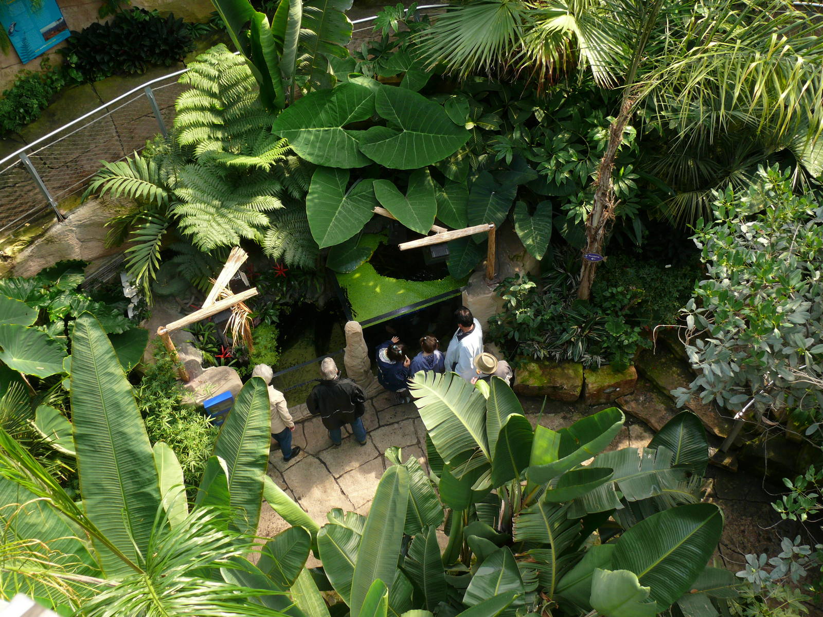 Sea Life Hannover. September 2007