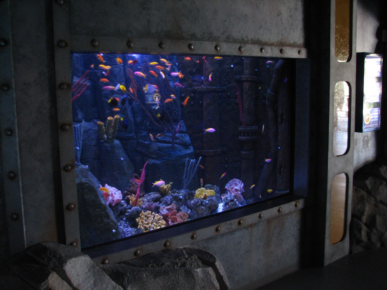 SEA LIFE Lab - Colorful Fish Exhibit