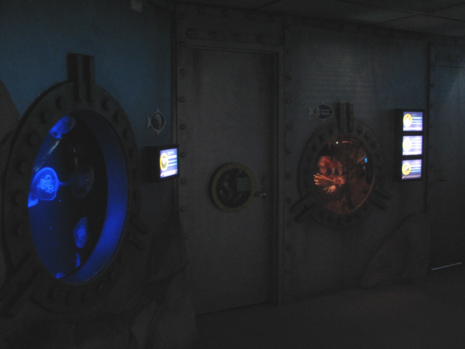 SEA LIFE Lab - Moon Jellies and Lionfish Exhibits