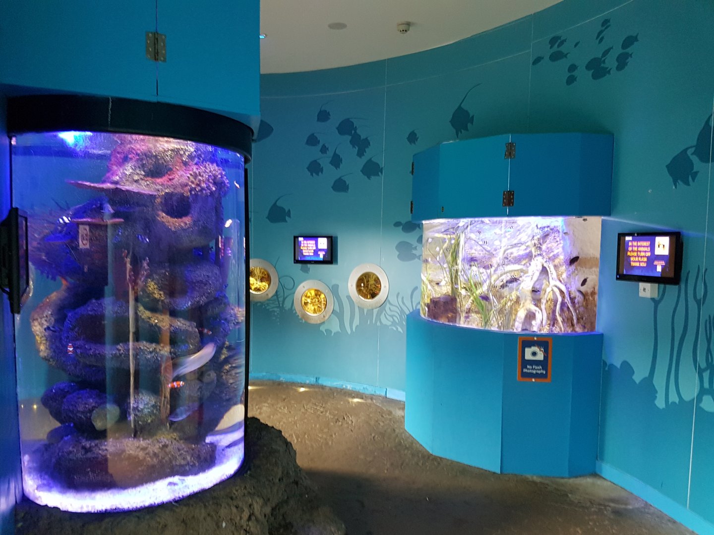 SEA LIFE Loch Lomond