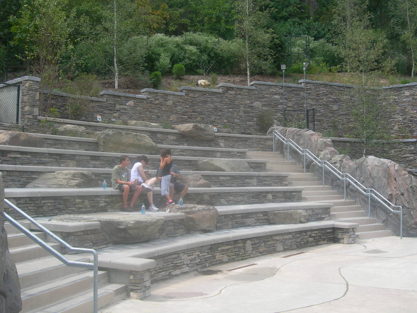 Sea Lion amphitheater