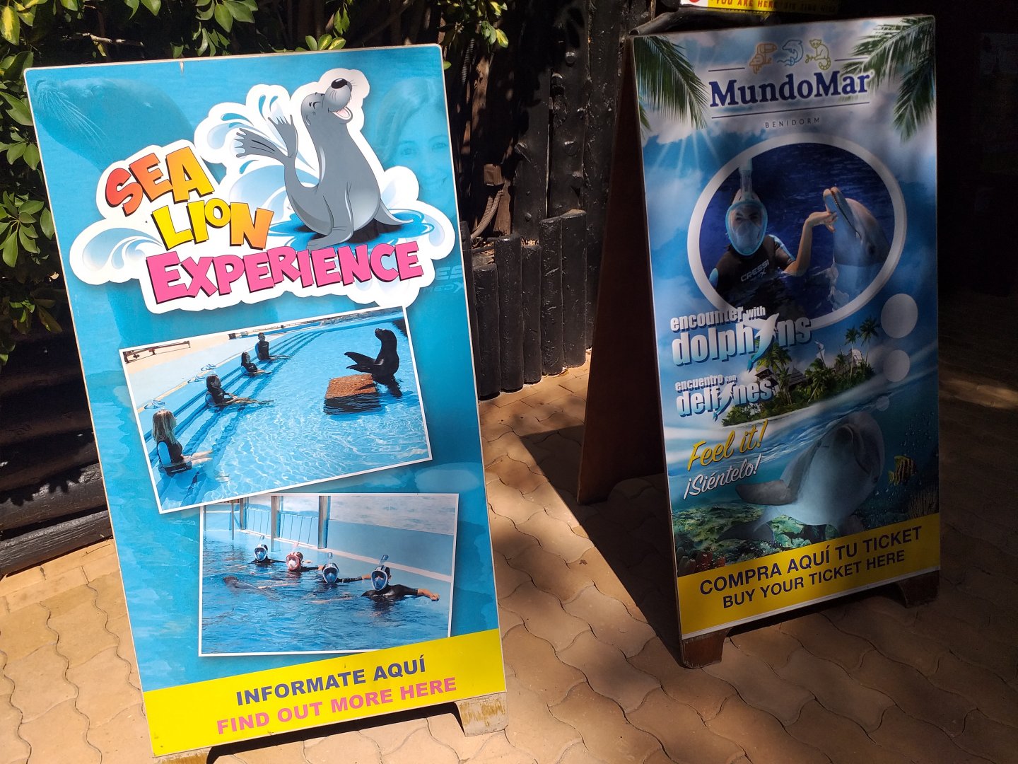 Sea lion and dolphin experience advertisements  -MundoMar Benidorm (2021)
