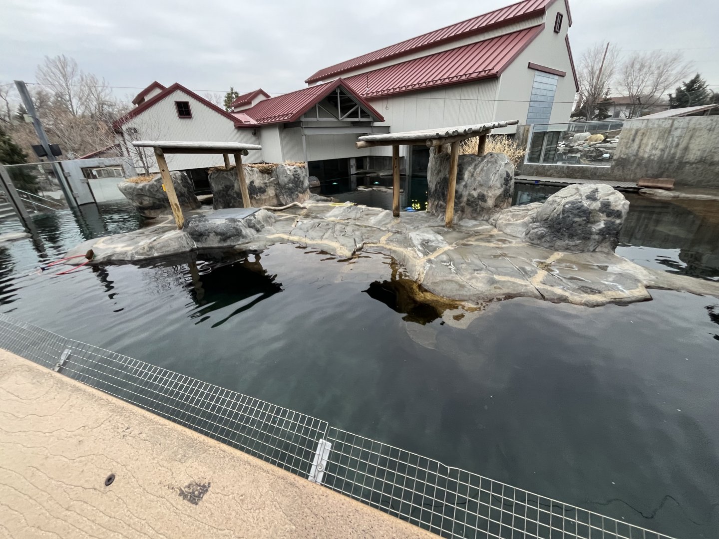 Sea lion and harbor seal exhibit