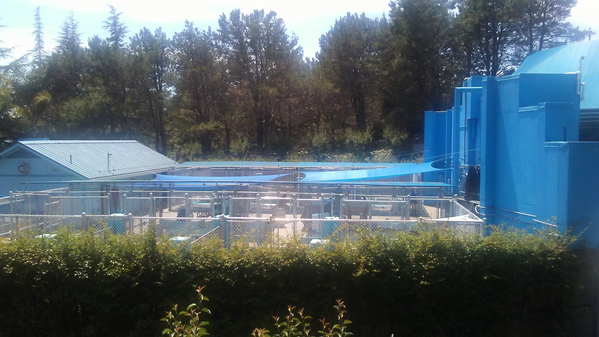 Sea lion and otter cages behind Sea Lion Stadium