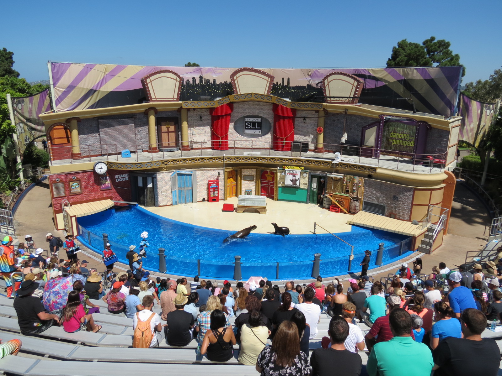 Sea Lion and Otter Stadium - Sea Lions Live Show
