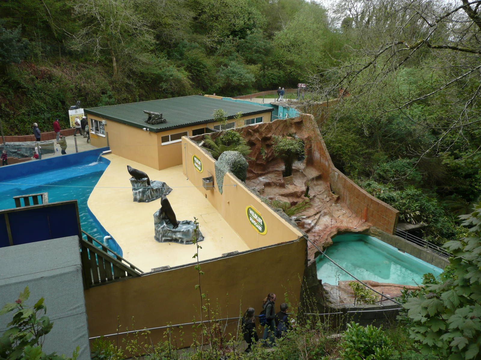 Sea-lion and Penguin Complex