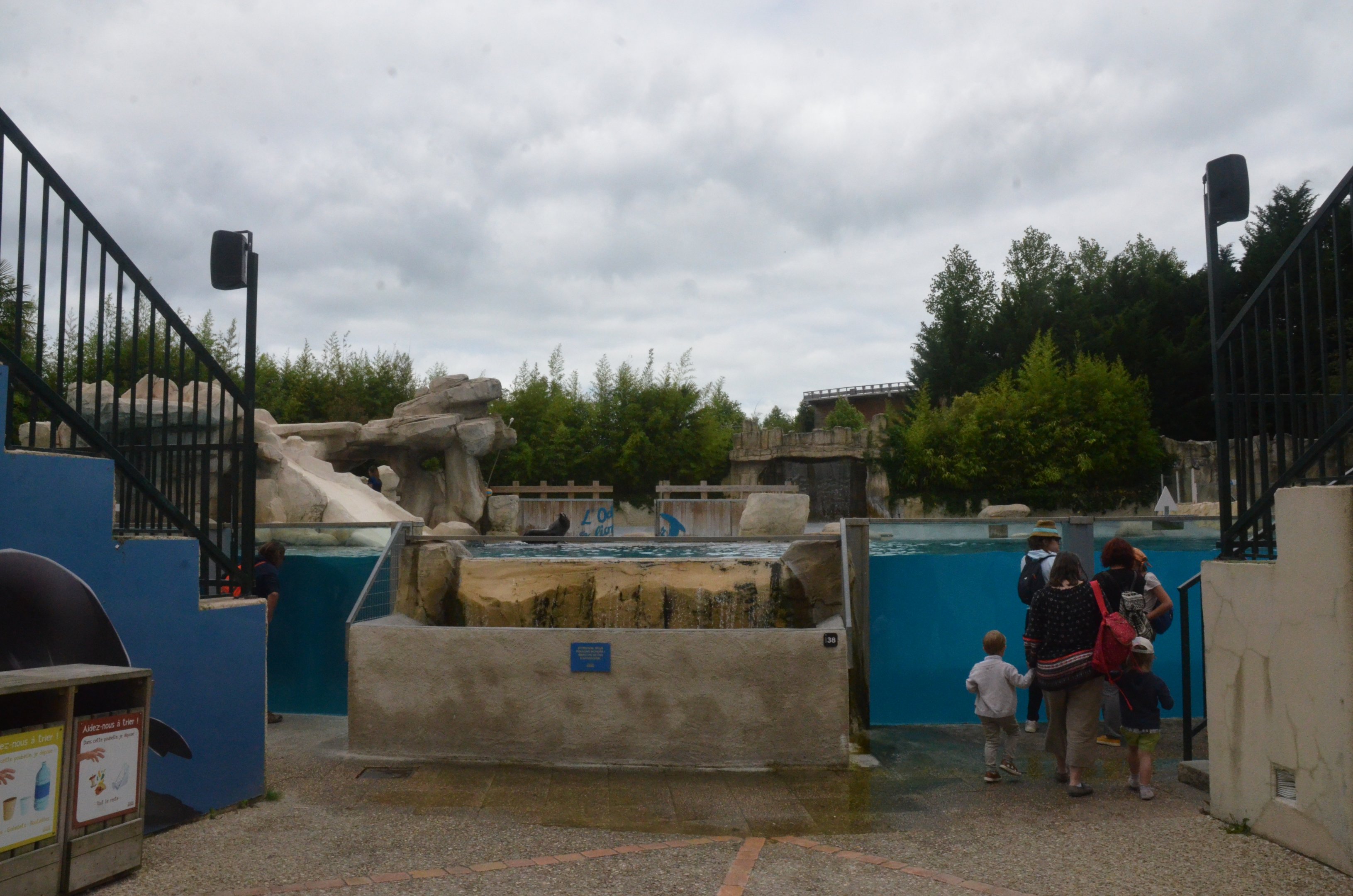 Sea Lion Arena at Beauval, 12/06/18