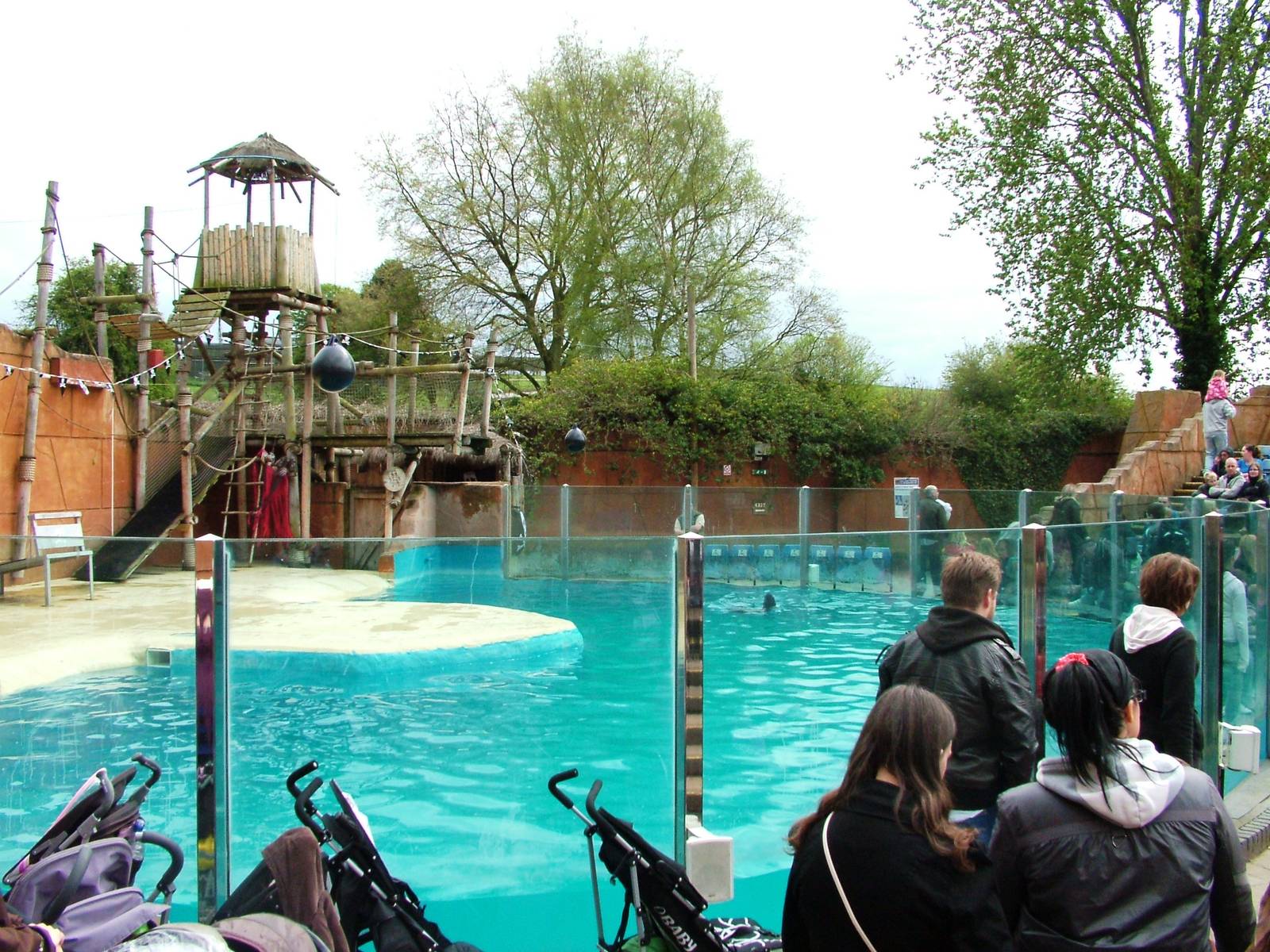 Sea Lion Arena at West Mids, 05/05/12