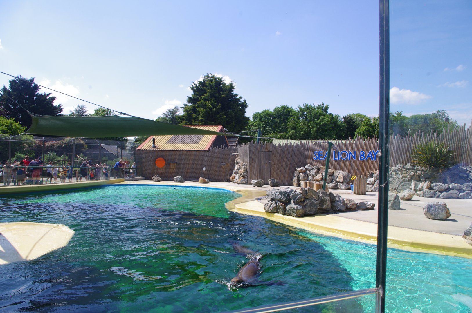 Sea Lion Bay general view- 3/6/2022