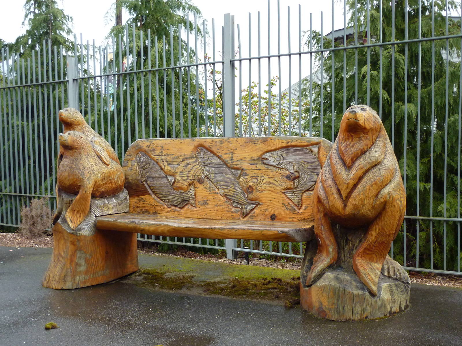 Sea Lion Bench