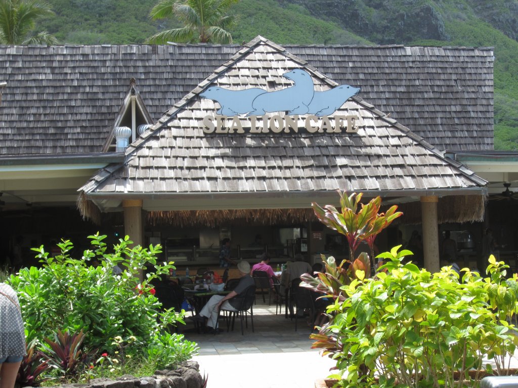 Sea Lion Cafe