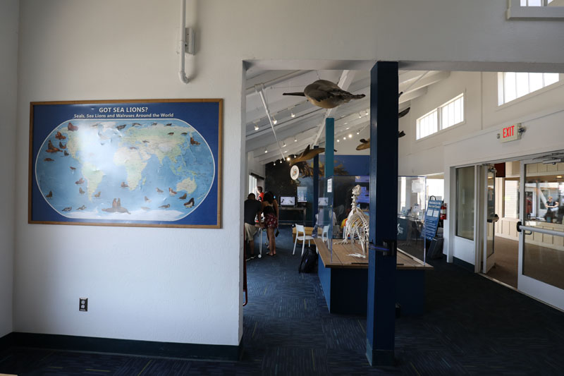 Sea Lion Center (Pier 39, San Francisco)