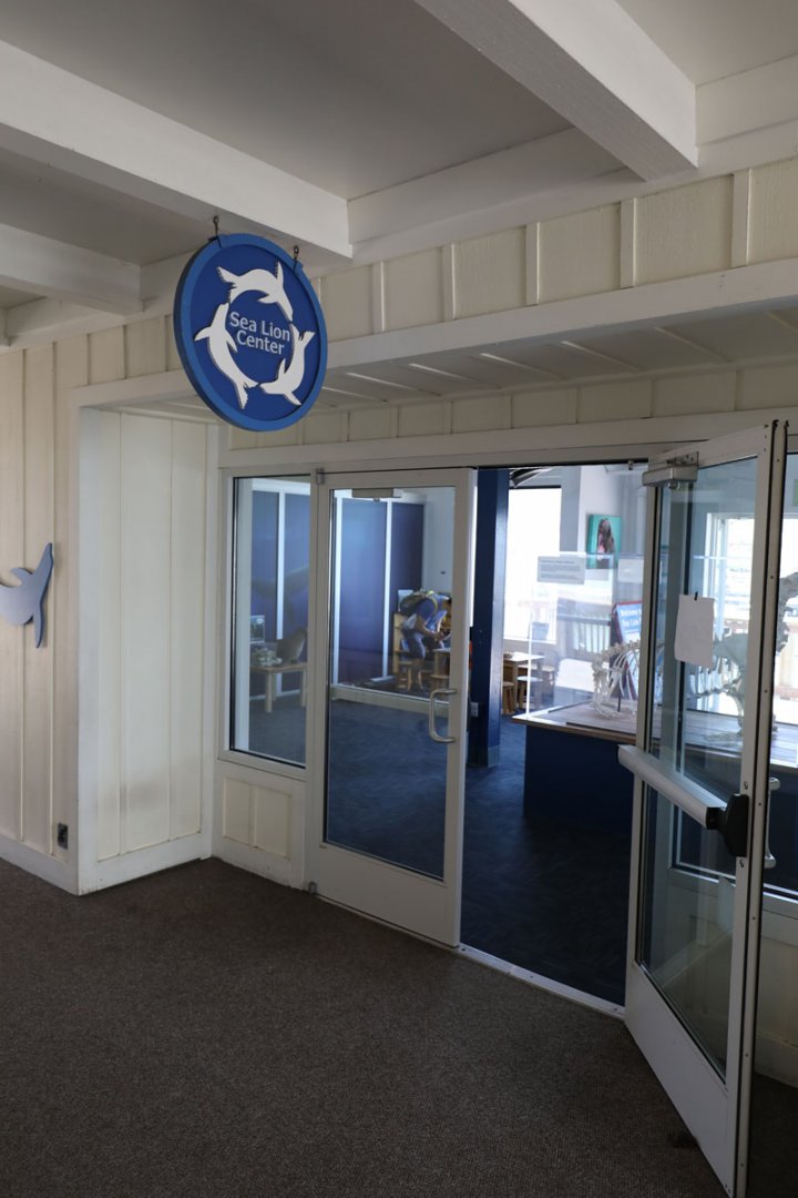 Sea Lion Center (Pier 39, San Francisco)