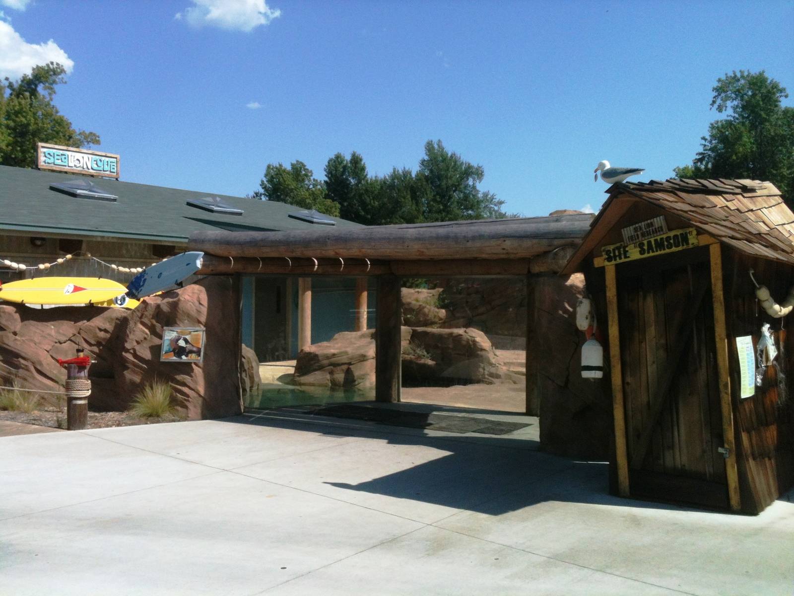 Sea Lion Cove glass viewing wall