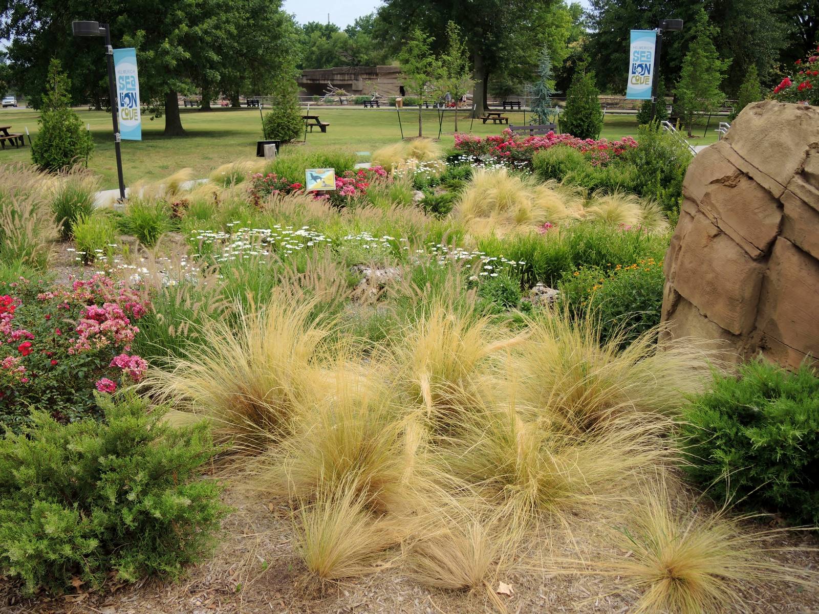 Sea Lion Cove landscaping