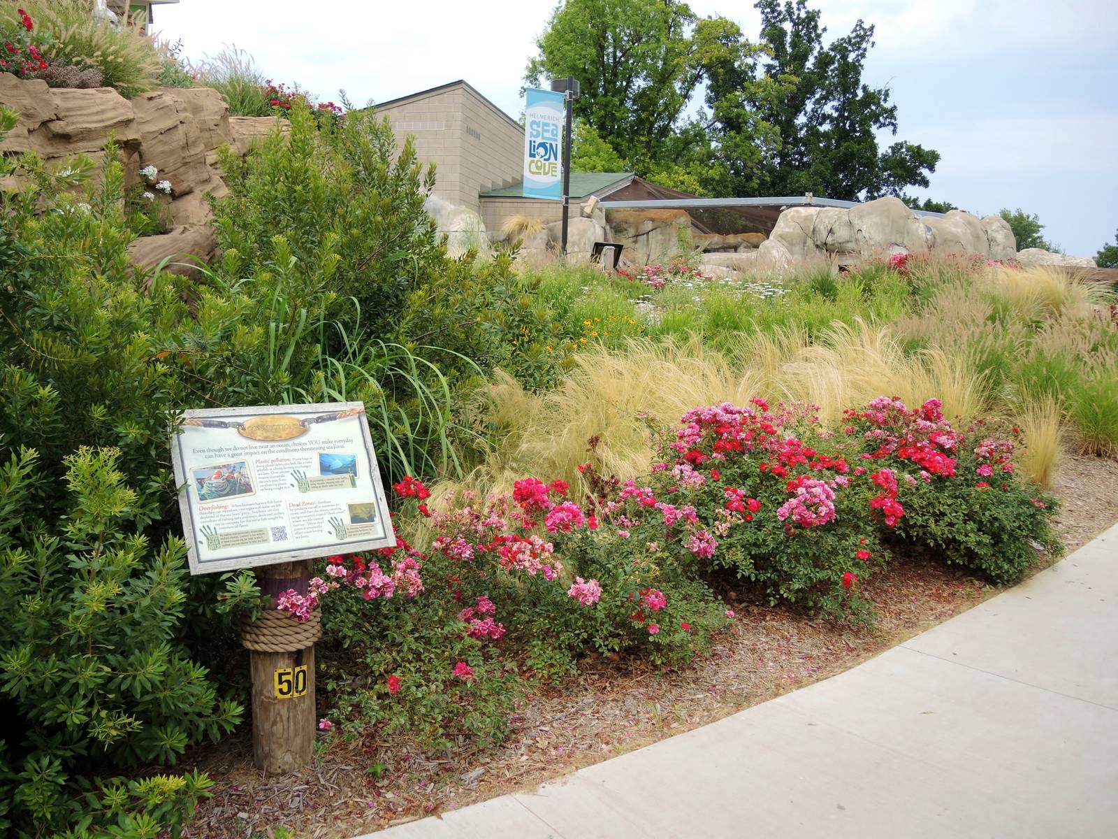 Sea Lion Cove landscaping