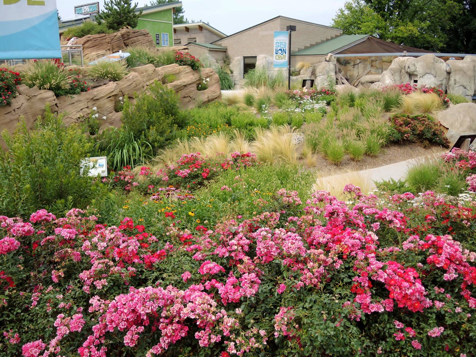 Sea Lion Cove landscaping