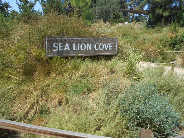 Sea Lion Cove opening scene