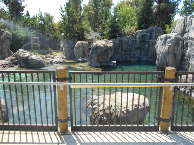 Sea Lion Cove second view of exhibit