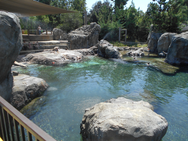 Sea Lion Cove second view