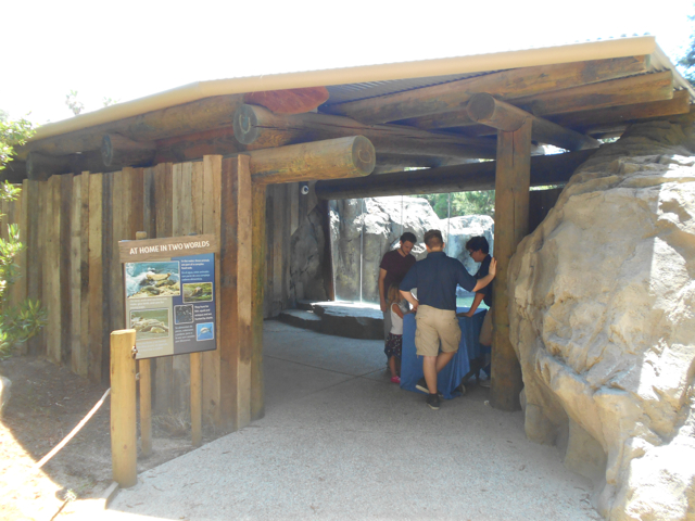 Sea Lion Cove third viewing area