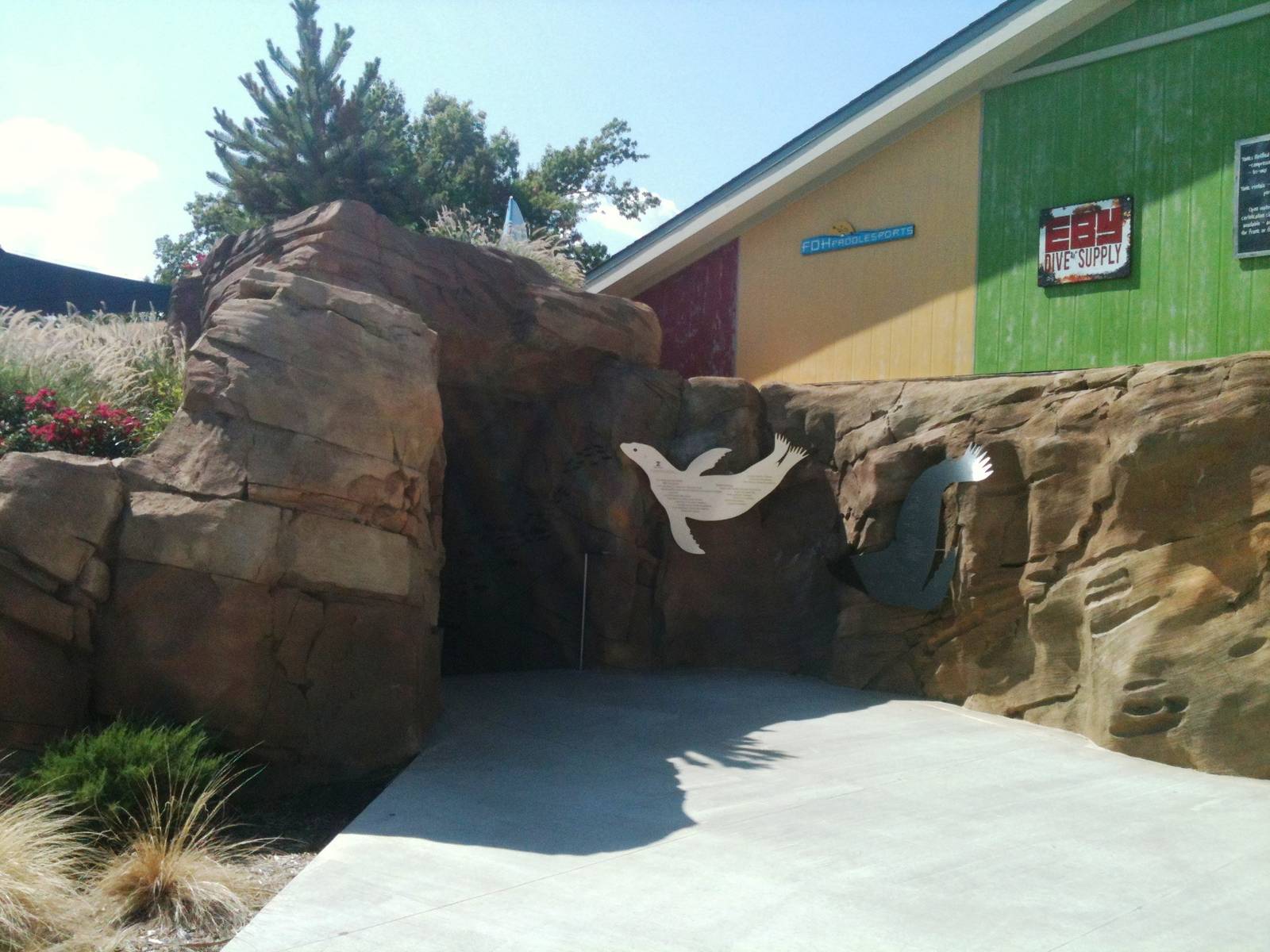 Sea Lion Cove - underwater viewing entrance/exit