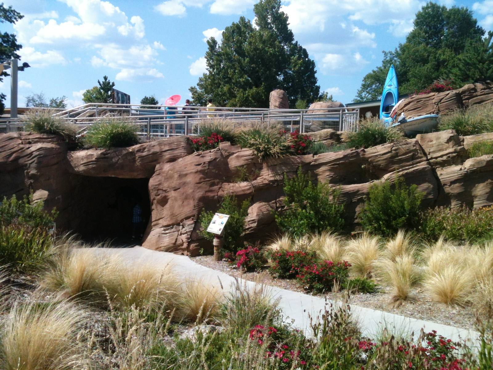 Sea Lion Cove - underwater viewing entrance/exit