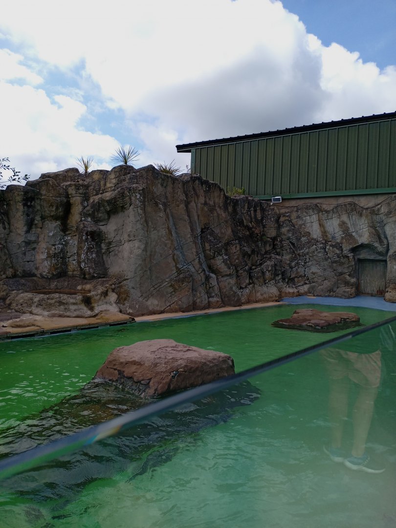 Sea Lion enclosure 3/8/23