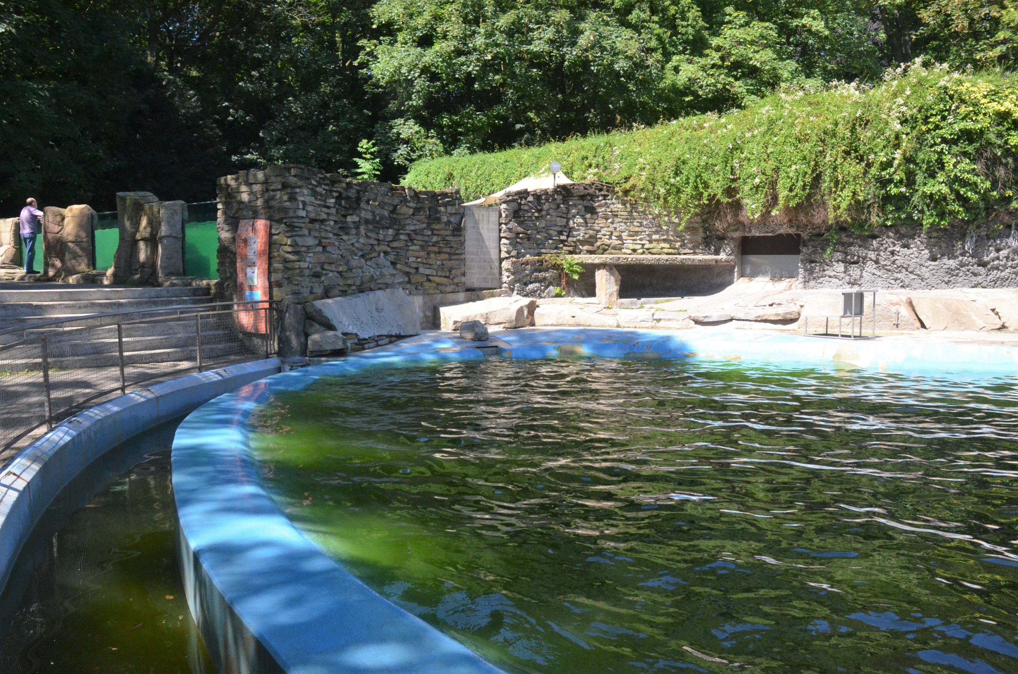 Sea Lion Enclosure at Duisburg, 17/06/19