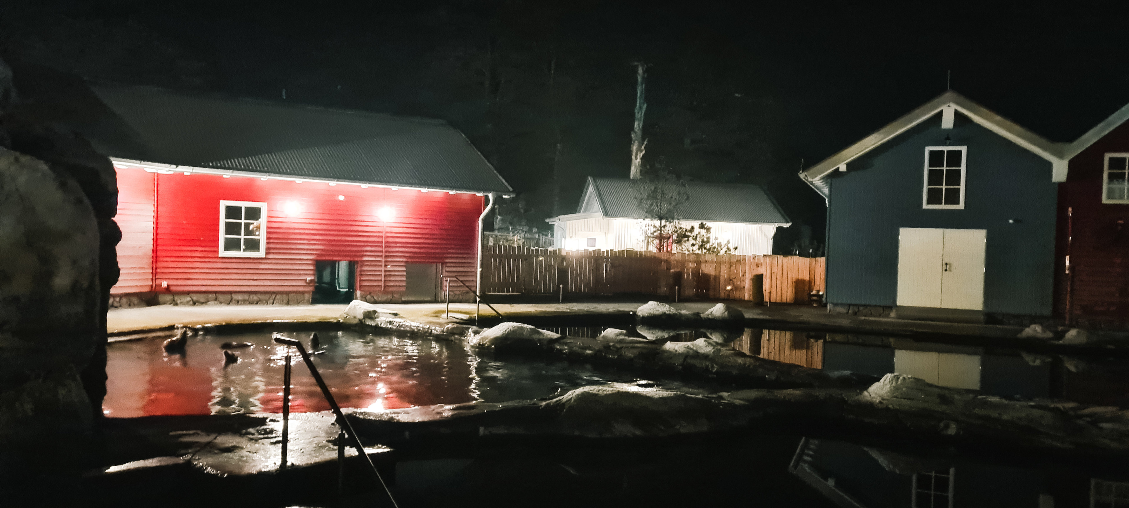 Sea Lion enclosure at night