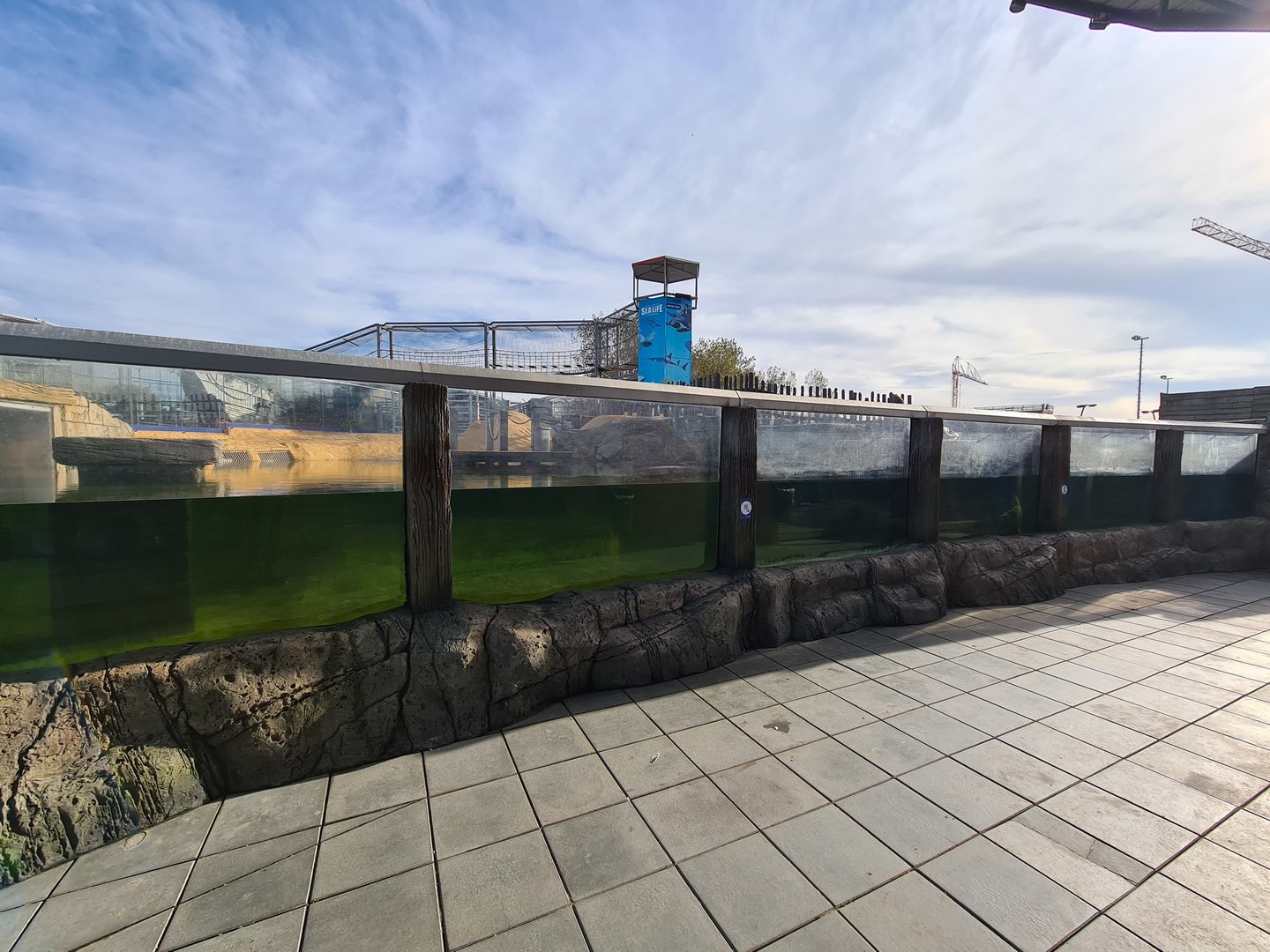 Sea lion enclosure - Main windows
