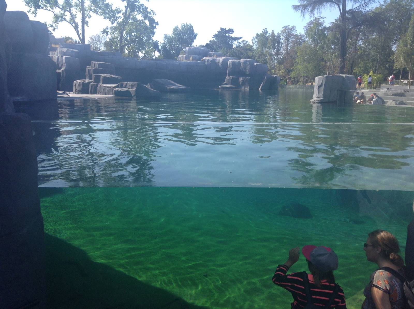 Sea Lion Enclosure - Paris Zoo