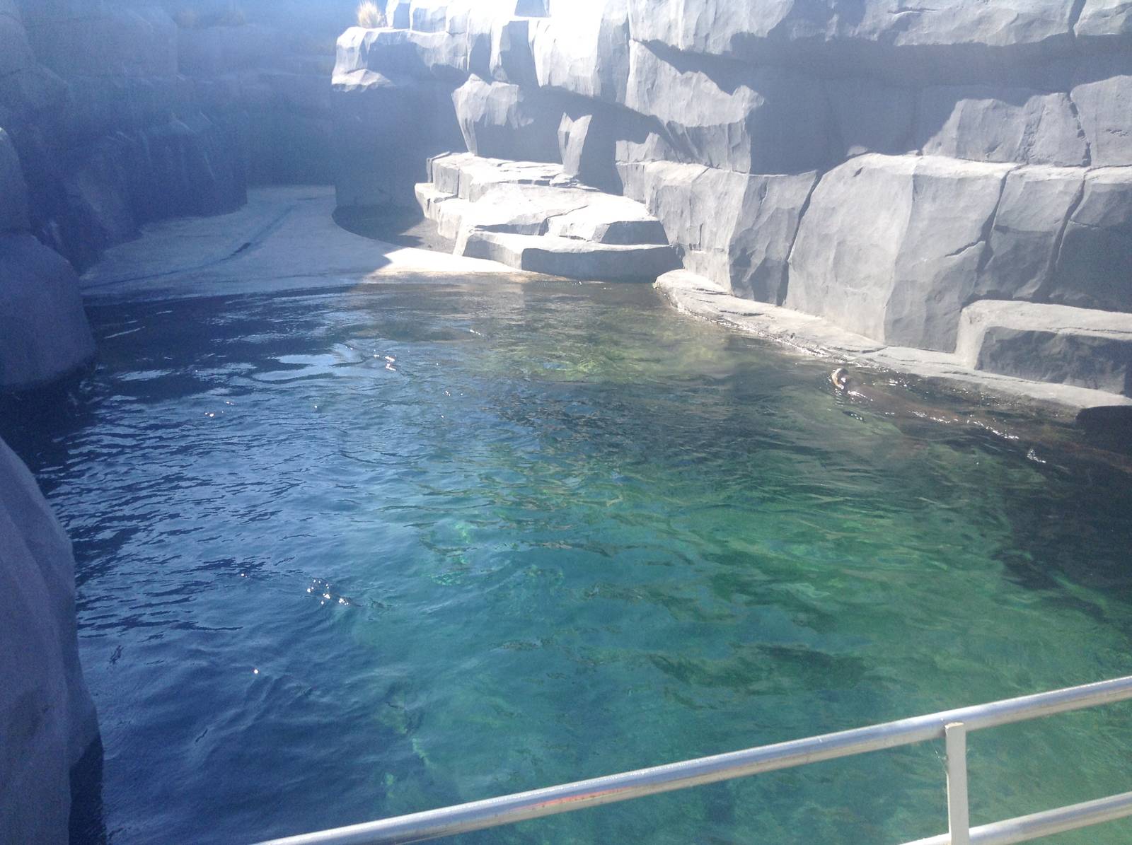 Sea Lion Enclosure - Paris Zoo