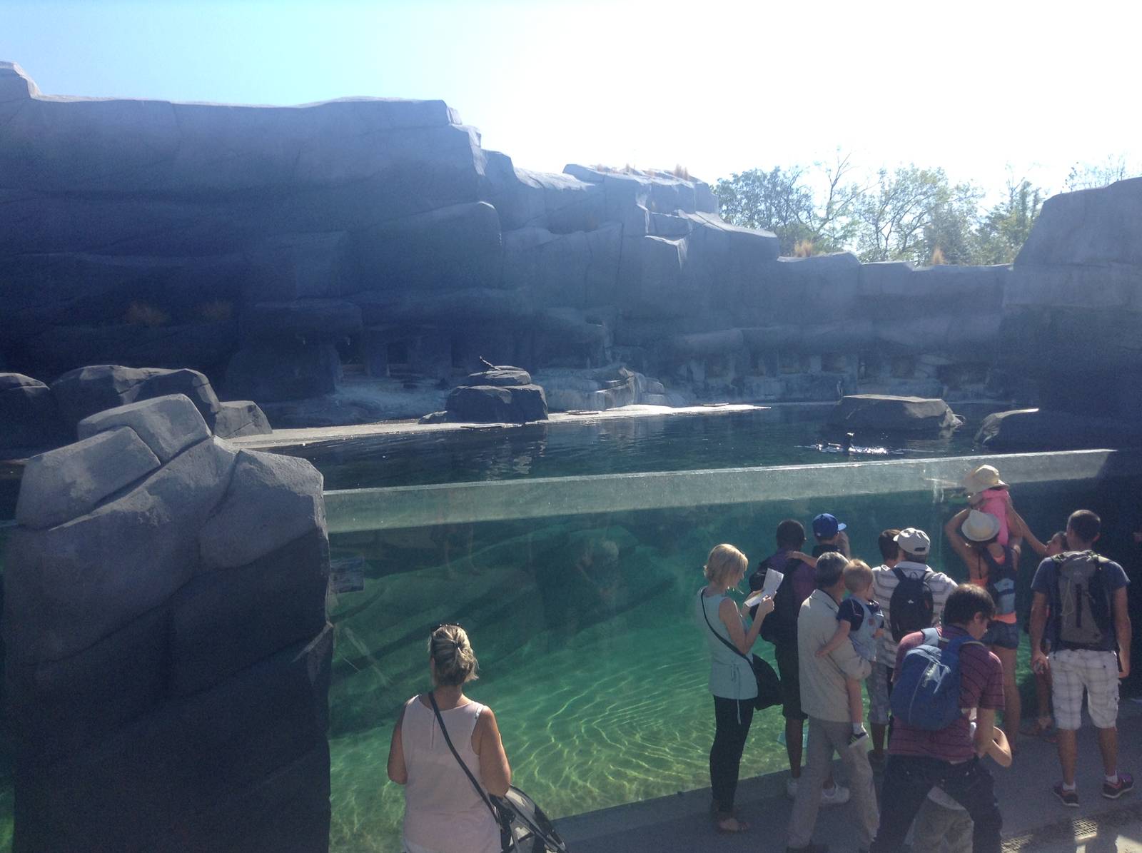 Sea Lion Enclosure - Paris Zoo
