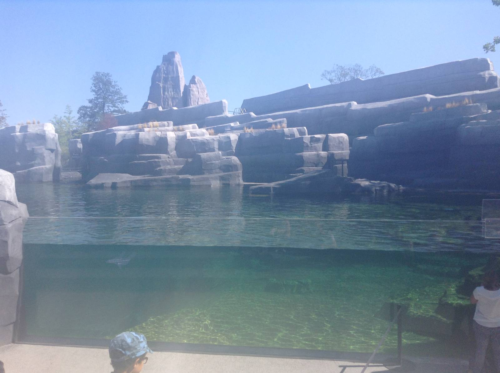 Sea Lion Enclosure - Paris Zoo.