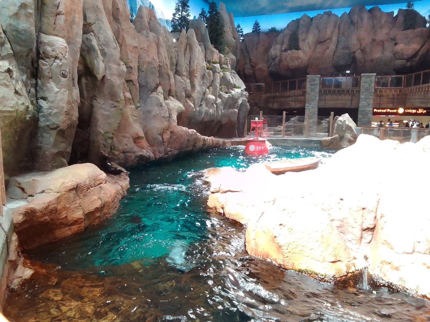 Sea lion enclosure SeaWorld Abu Dhabi