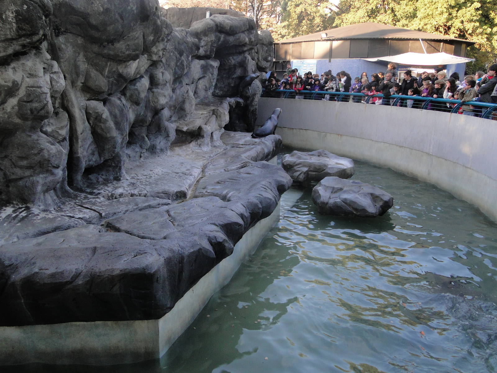 Sea lion enclosure
