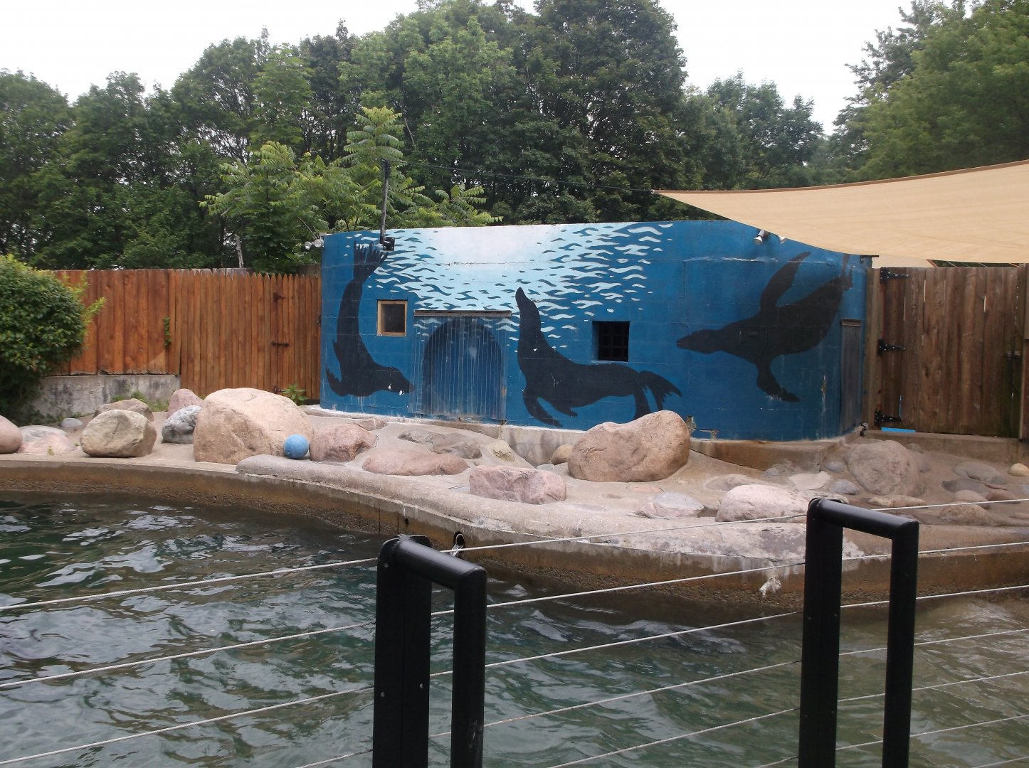 Sea Lion enclosure