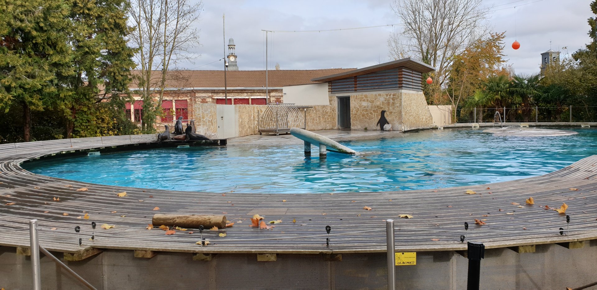 Sea-lion enclosure