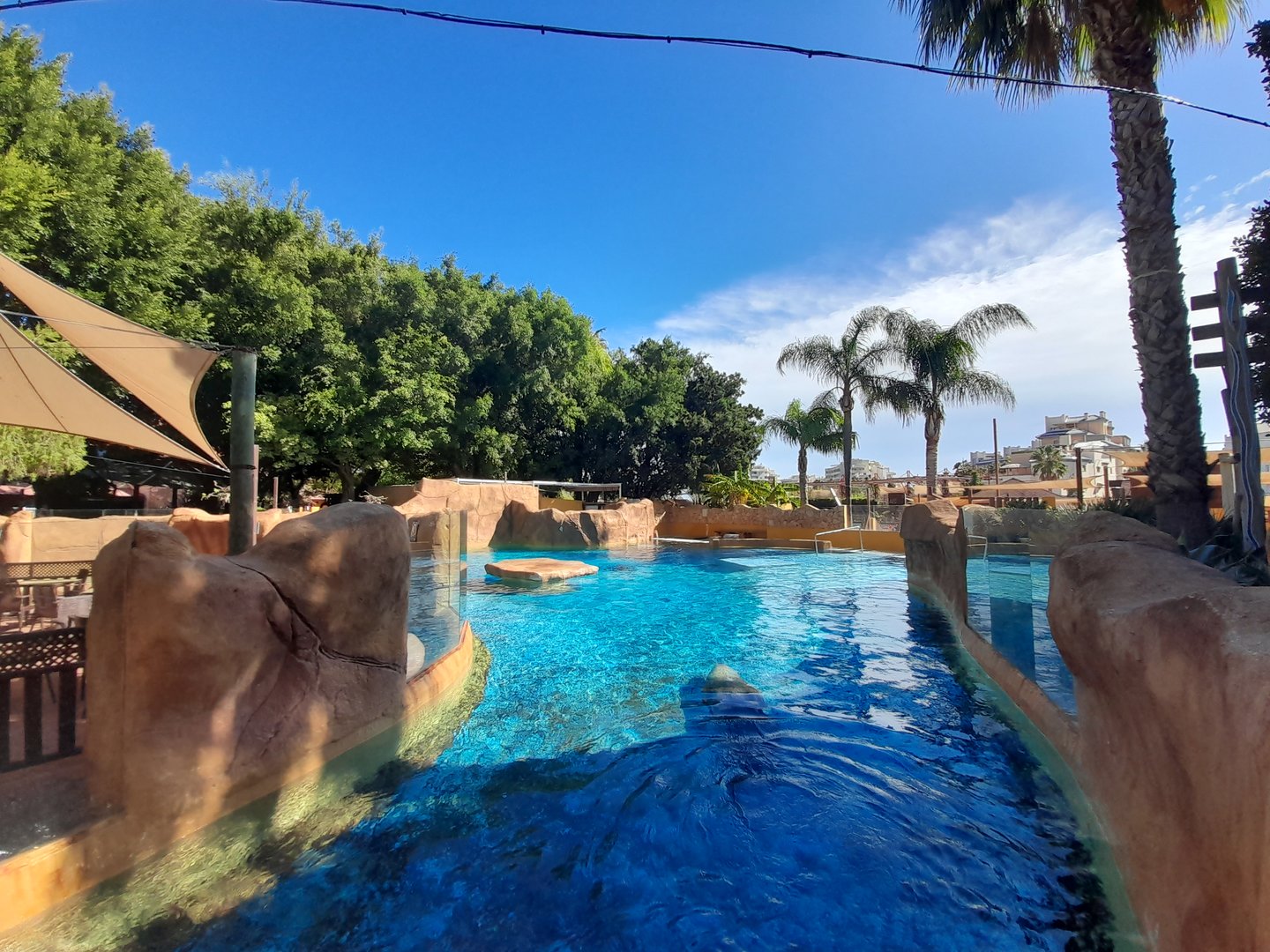 Sea Lion - enclosure