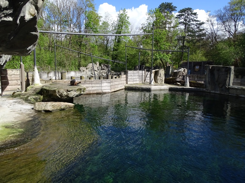 Sea lion enclosure