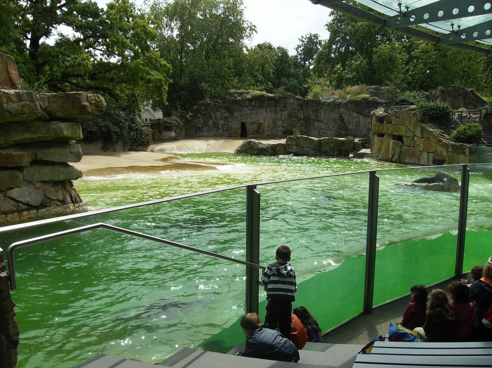 Sea Lion Enclosure