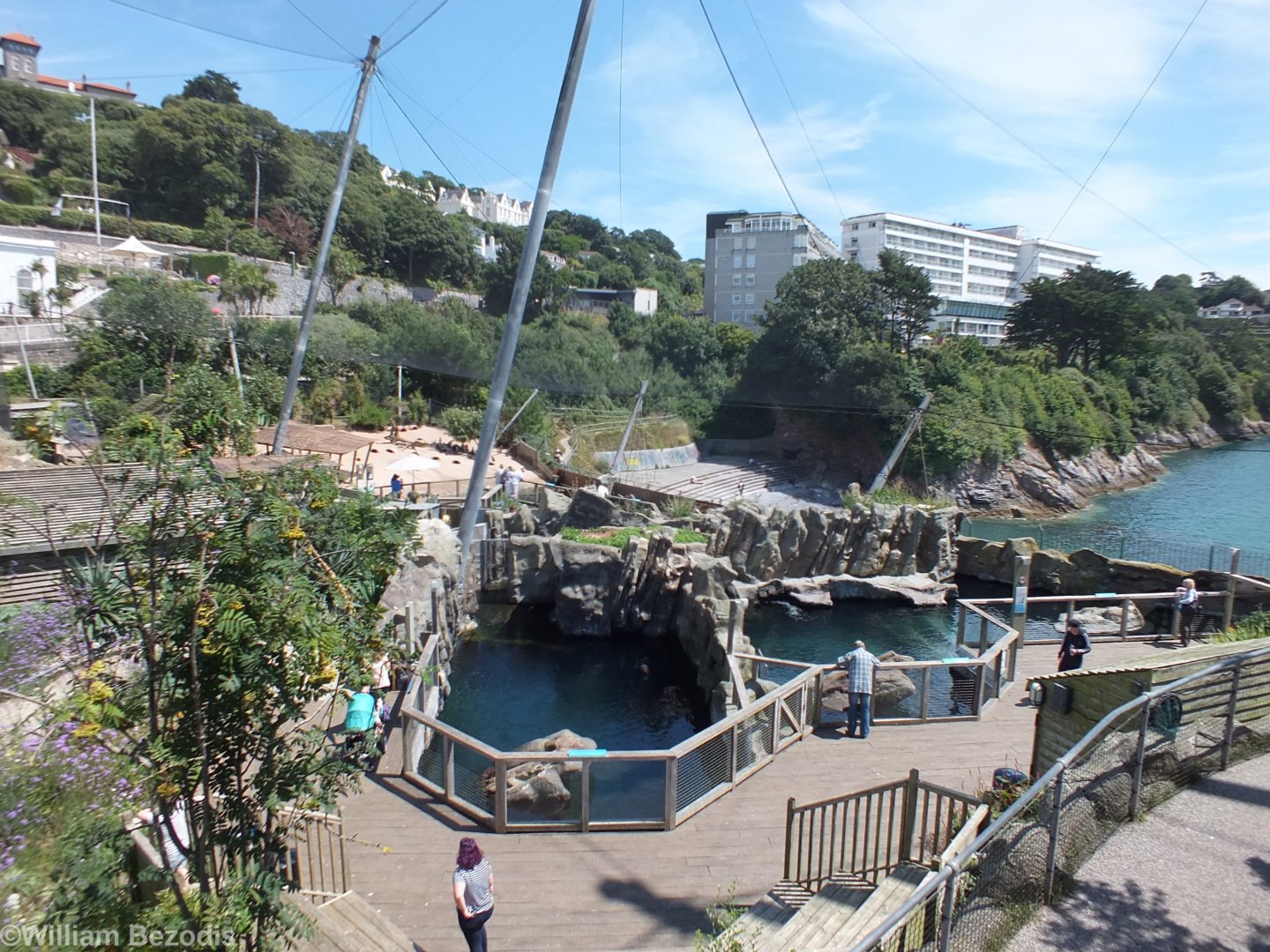 Sea Lion Enclosures (foreground) and Penguin Beach (background)