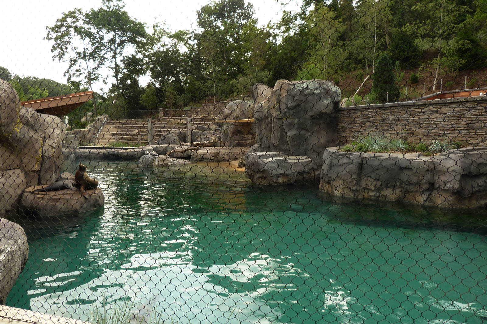 Sea Lion Exhibit (American Trails)