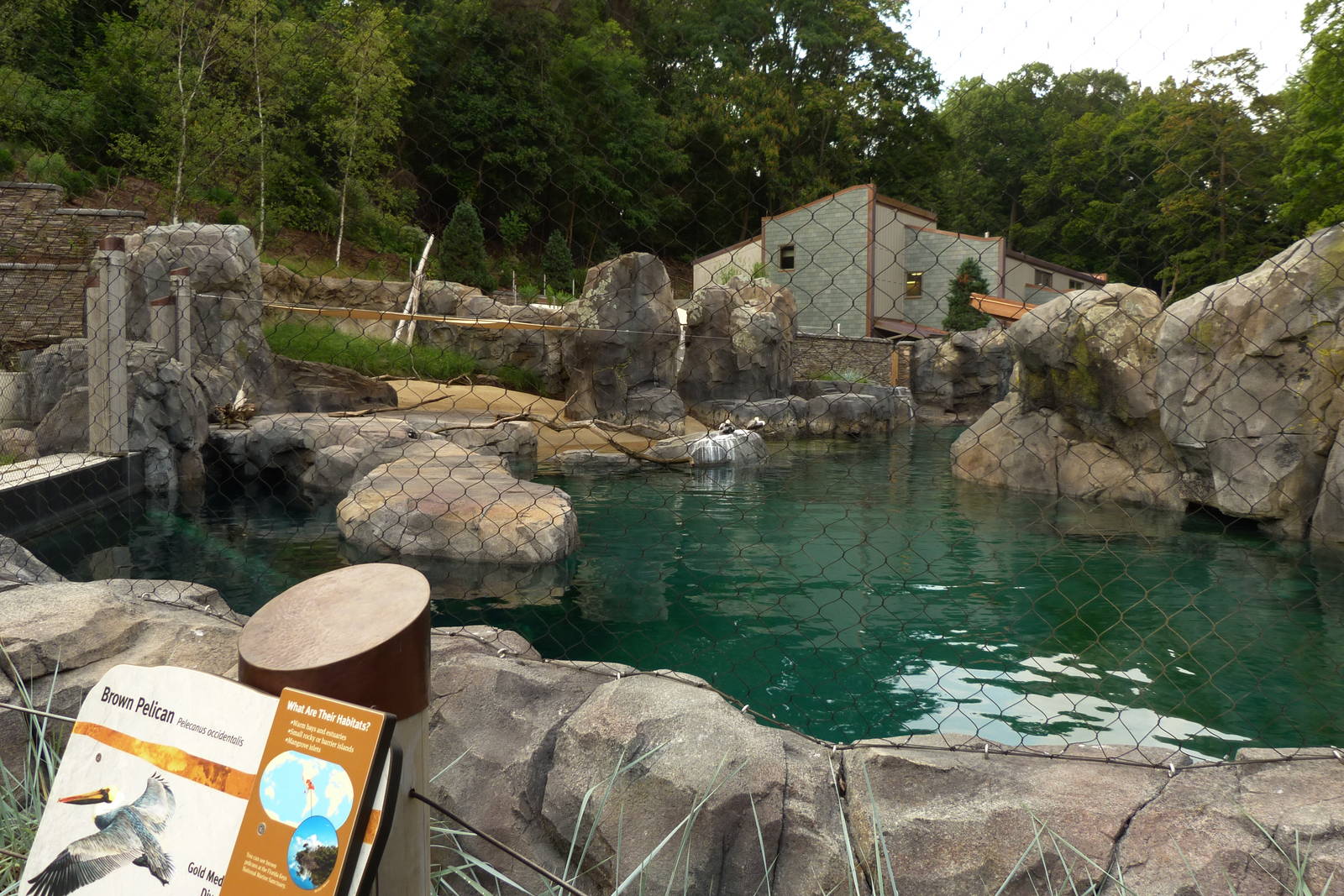 Sea Lion Exhibit (American Trails)