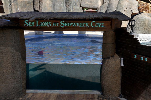 sea lion exhibit and stadium
