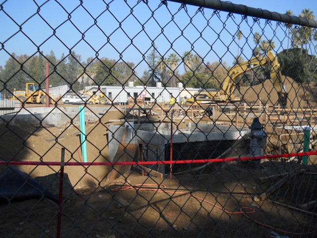 Sea lion exhibit construction